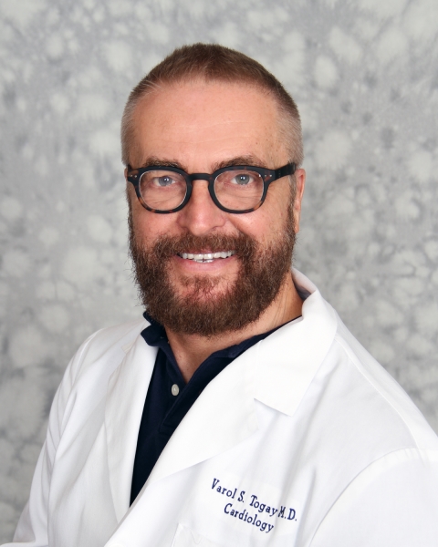 Varol S Togay