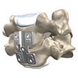 Ankle Anatomy