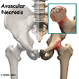 Ankle Anatomy