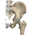 Ankle Impingement Problems