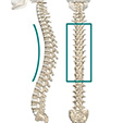 Ankle Syndesmosis Injuries