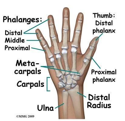 Finger Fractures	