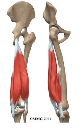 Hamstring Injuries	