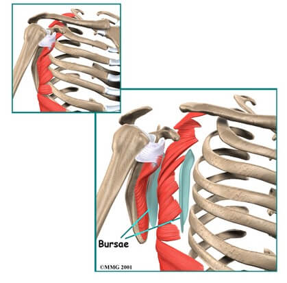 Snapping Scapula Syndrome	