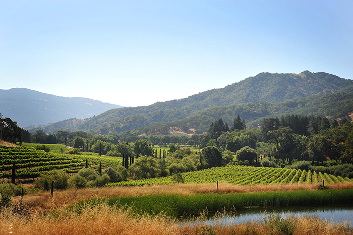 Ukiah Valley scenery