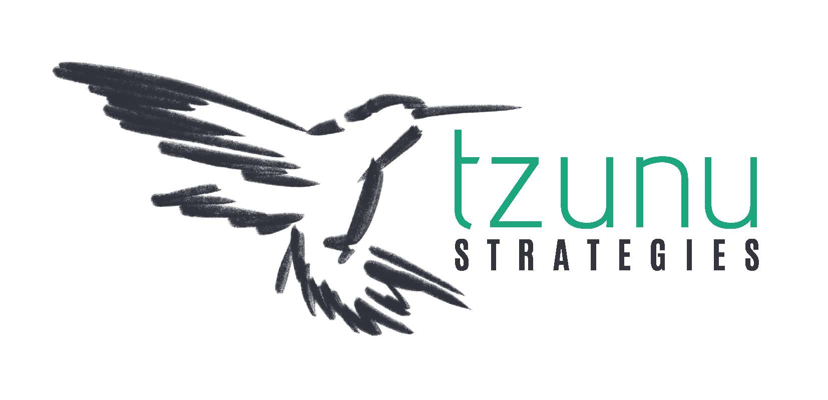 Tzunu Logos